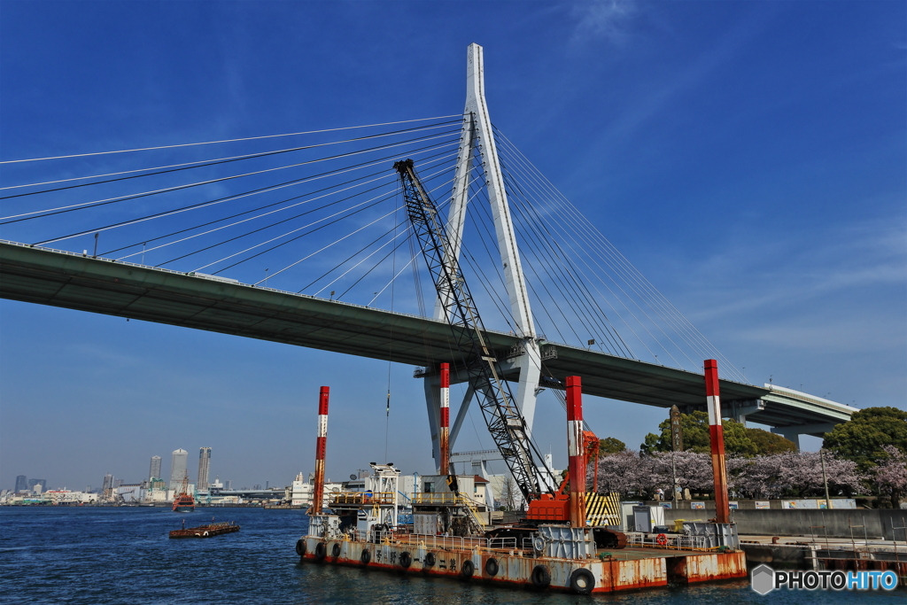 天保山大橋 by boutnniere （ID：11736036） 写真共有サイトPHOTOHITO