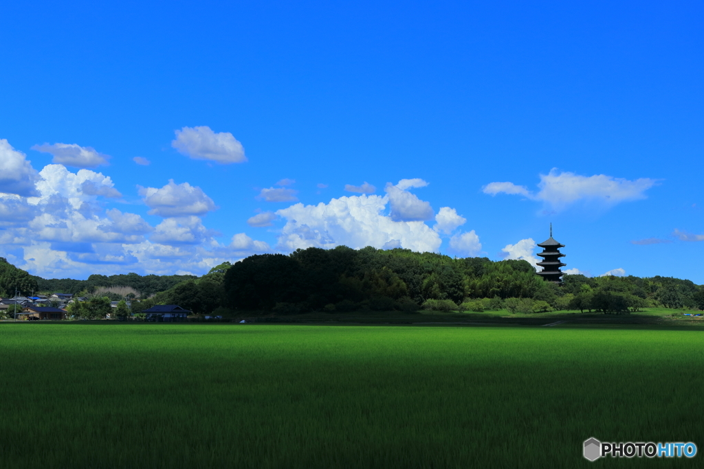 夏空×稲緑×五重塔