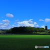夏空×稲緑×五重塔