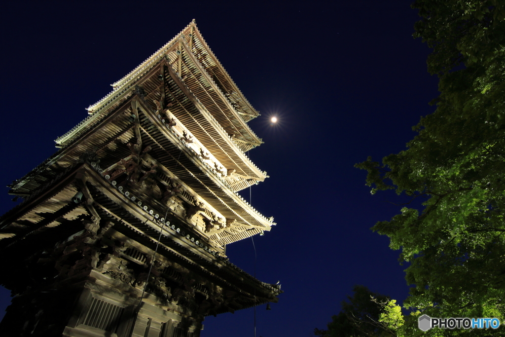 五重塔×月