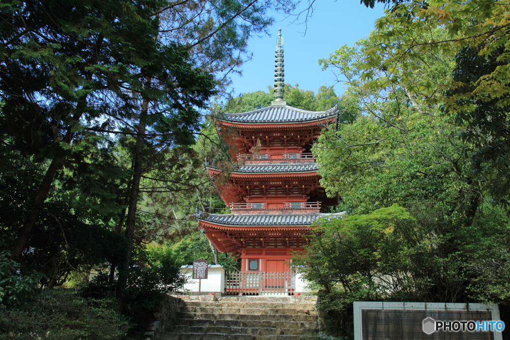 雪舟の里（井山宝福禅寺）三重塔