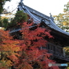 紅葉×井山宝福寺山門