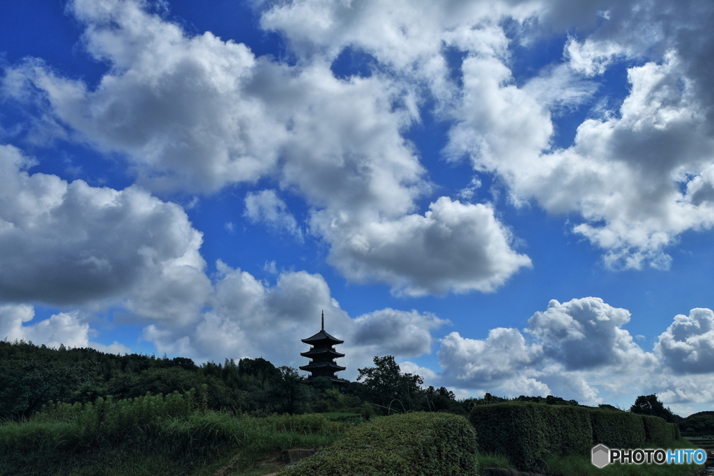 夏雲×五重塔