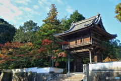 井山宝福寺　山門の秋