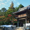 井山宝福寺　山門の秋