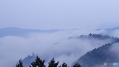 白の世界：備中松山城×雲海