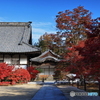 青空×方丈×紅葉