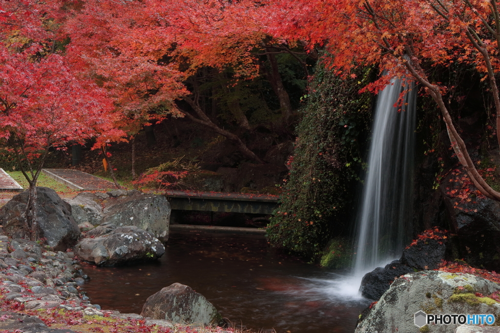 紅葉×水流