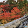 紅葉×瓦 part 4