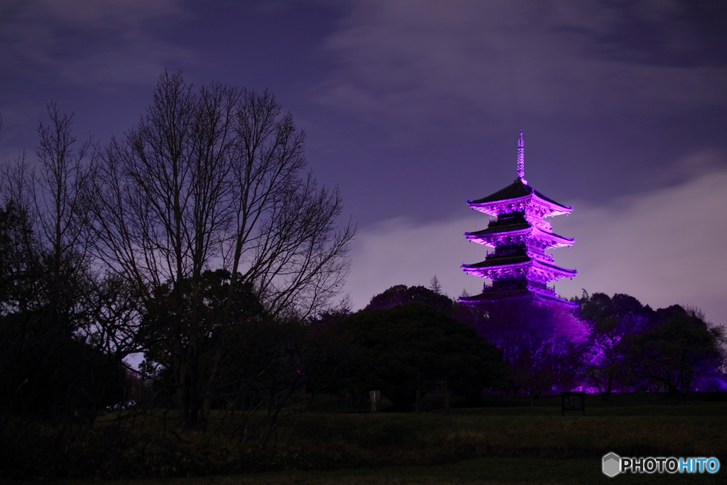 備中国分寺×Purple Day part 1