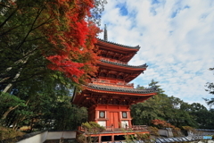 井山宝福寺　三重塔×紅葉