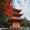 井山宝福寺　三重塔×紅葉