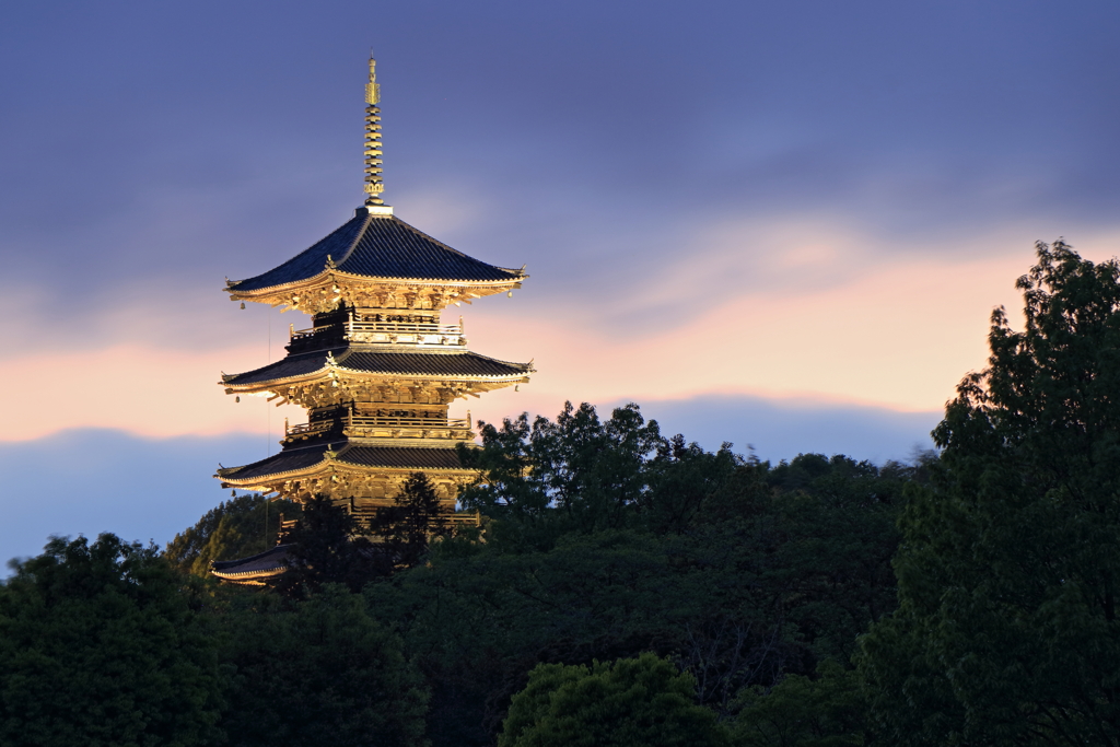雨上がりの備中国分寺（ライトアップ Ver.）