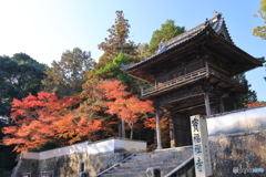 井山宝福寺　山門の秋２