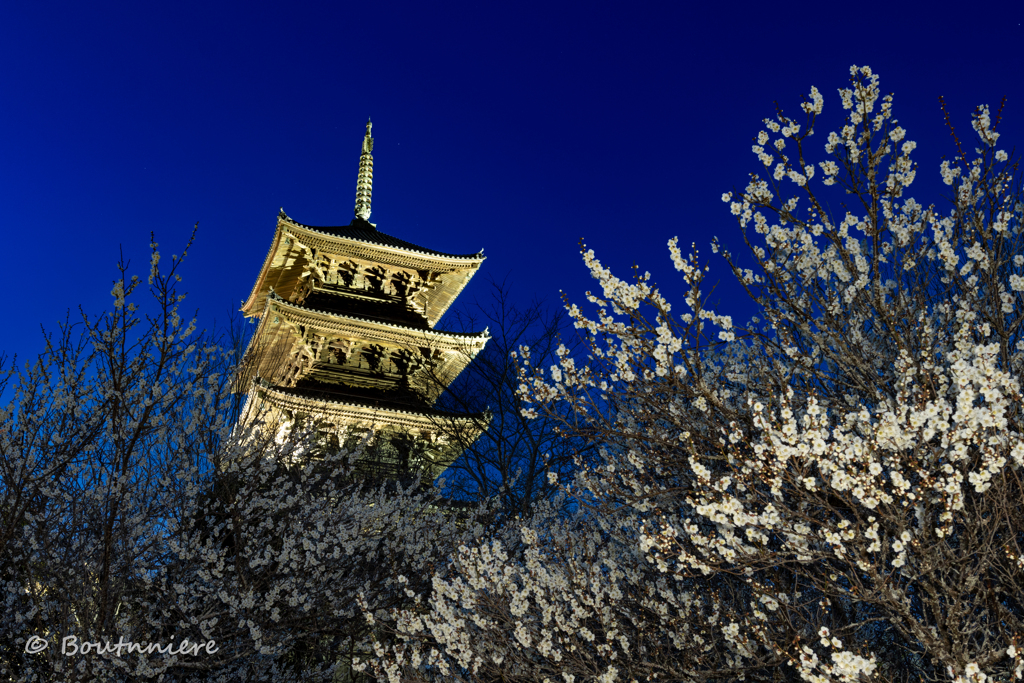 2025年を振り返る(2)