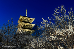 2025年を振り返る(2)