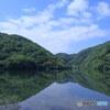 新緑×五月晴