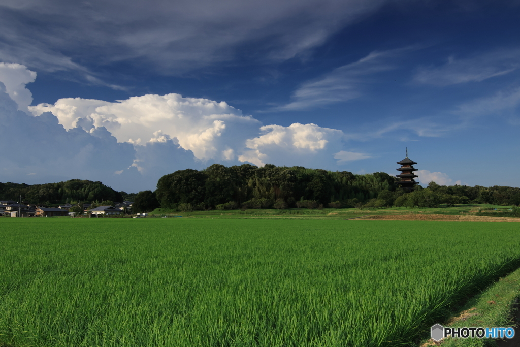 夏雲と五重塔'23 其の壱