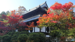 井山宝福寺 仏殿