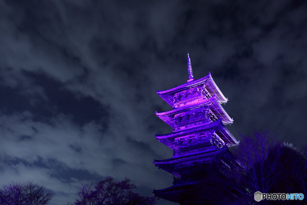 備中国分寺×Purple Day 2023