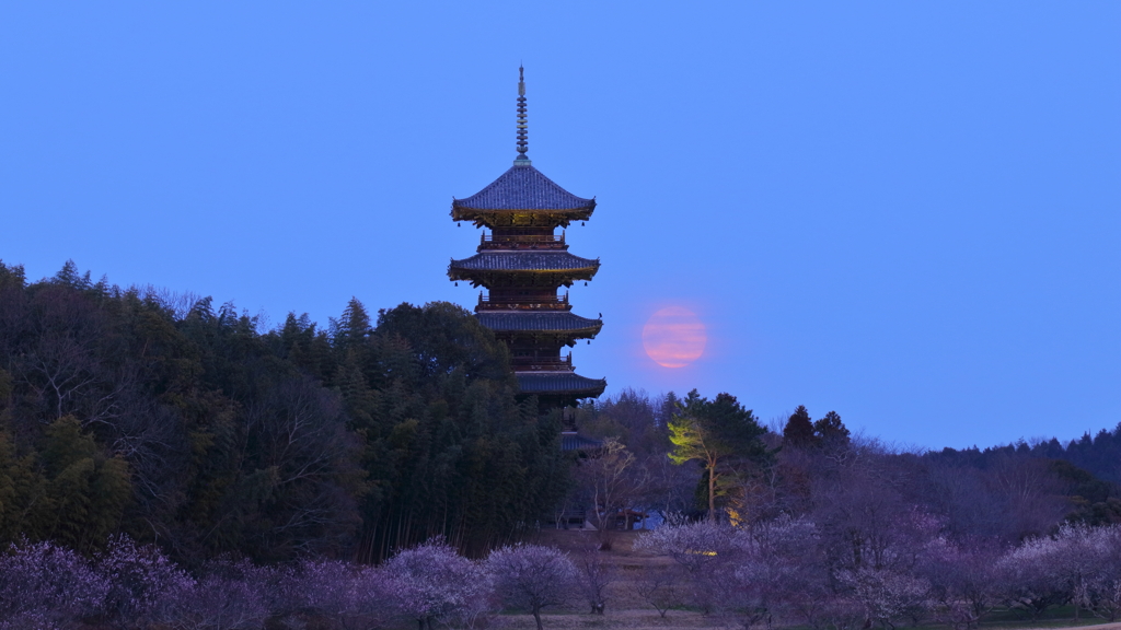 五重塔×雪月(snow moon)