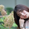 柏葉紫陽花と…