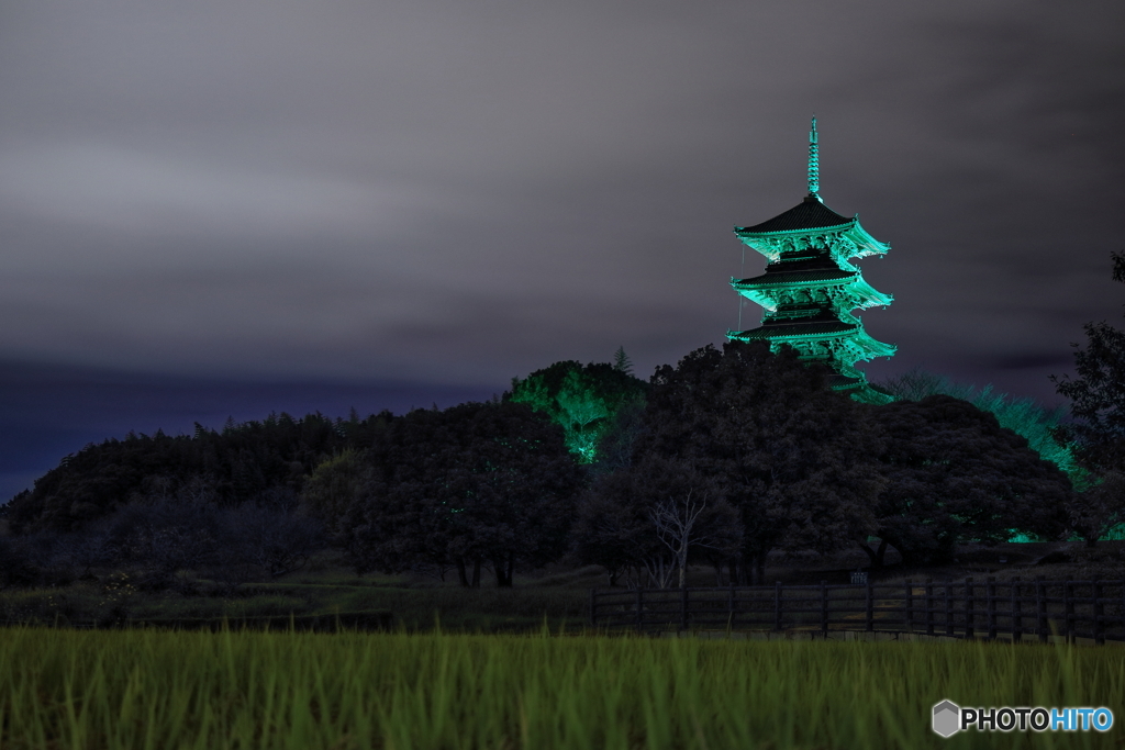 備中国分寺×Green Ribbon Campaign
