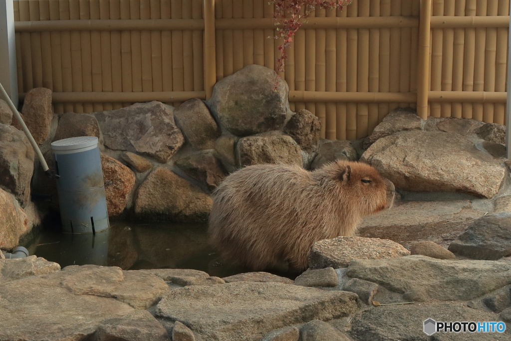 最近、足が冷えるんだよなぁ