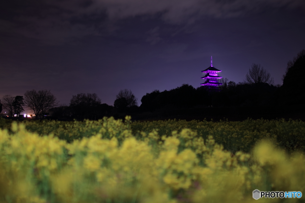 備中国分寺×Purple Day part 3