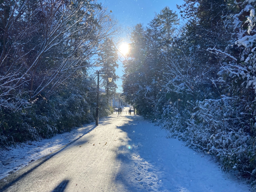 玄関を開けると雪国だった。