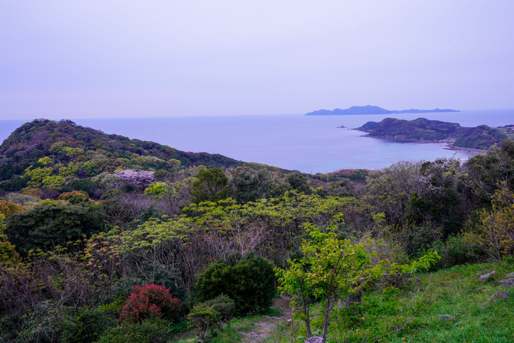 大峰山展望台