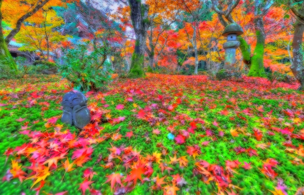 圓光寺