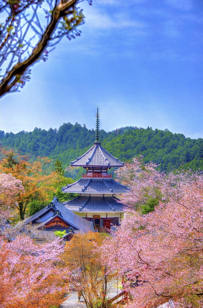 吉野