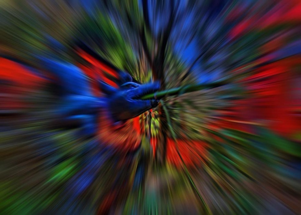 狐