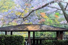 和歌山県植物公園