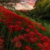 鉄道風景