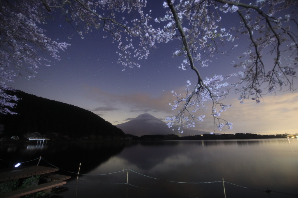 田貫湖　富士山　桜　星