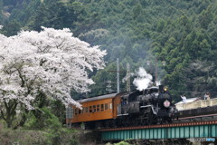 大井川鐵道の春の訪れ