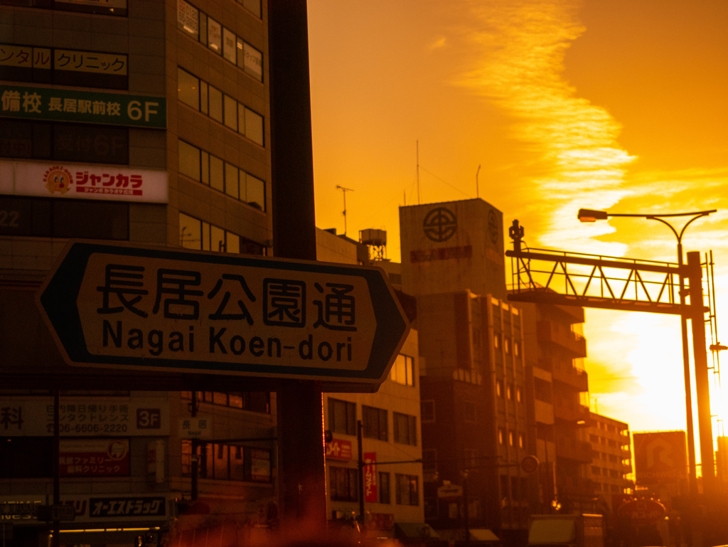 夕暮れの長居公園②