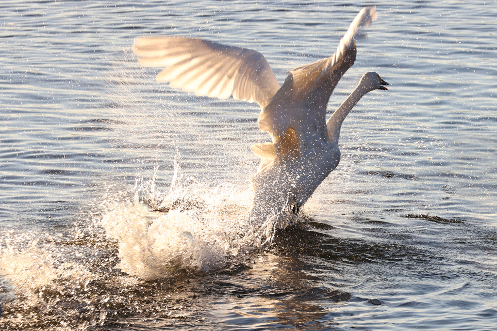 〜 テイクオフ 〜