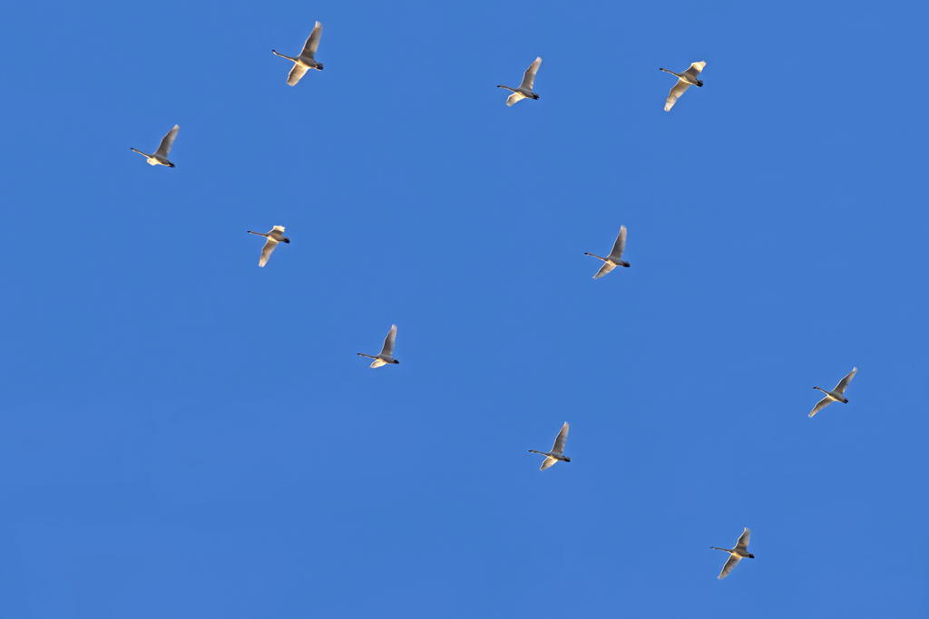 〜 群青の彼方へ ～