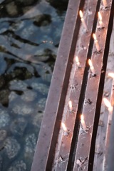 085E65AD-D15B-48F9-A9C5-CA0557C86E66