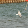 20507DFD-37D6-4F40-B866-6C84CDE5EDB7