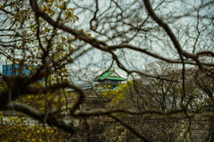 大阪城にて