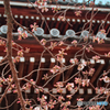 DSC_1424　東福寺