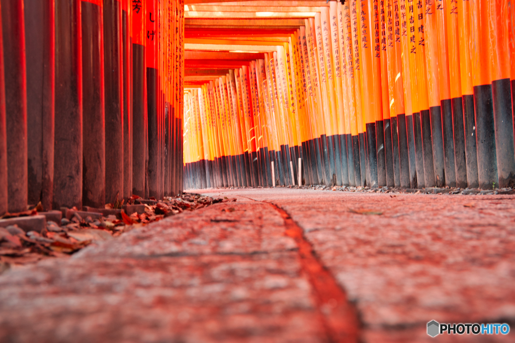 京都、伏見稲荷