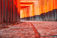 京都、伏見稲荷