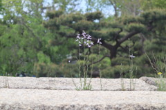 小さな幸せ