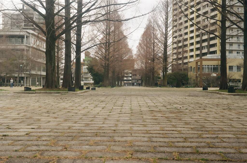 お散歩カメラ