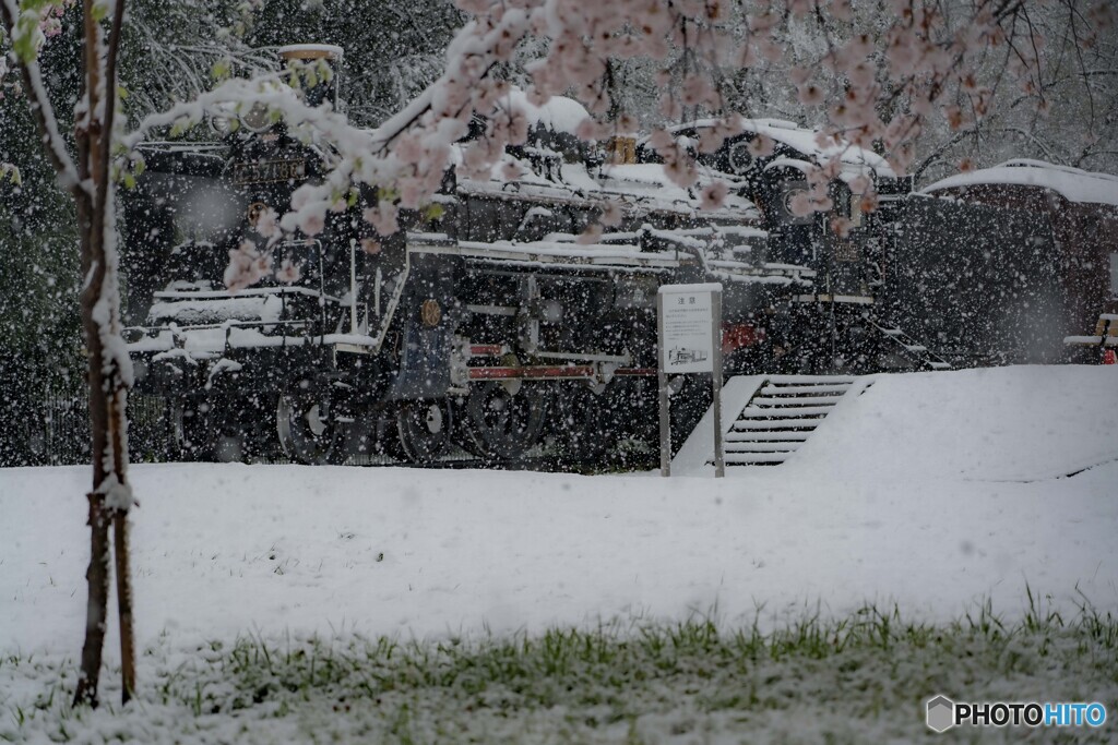 季節ハズレの雪　汽車